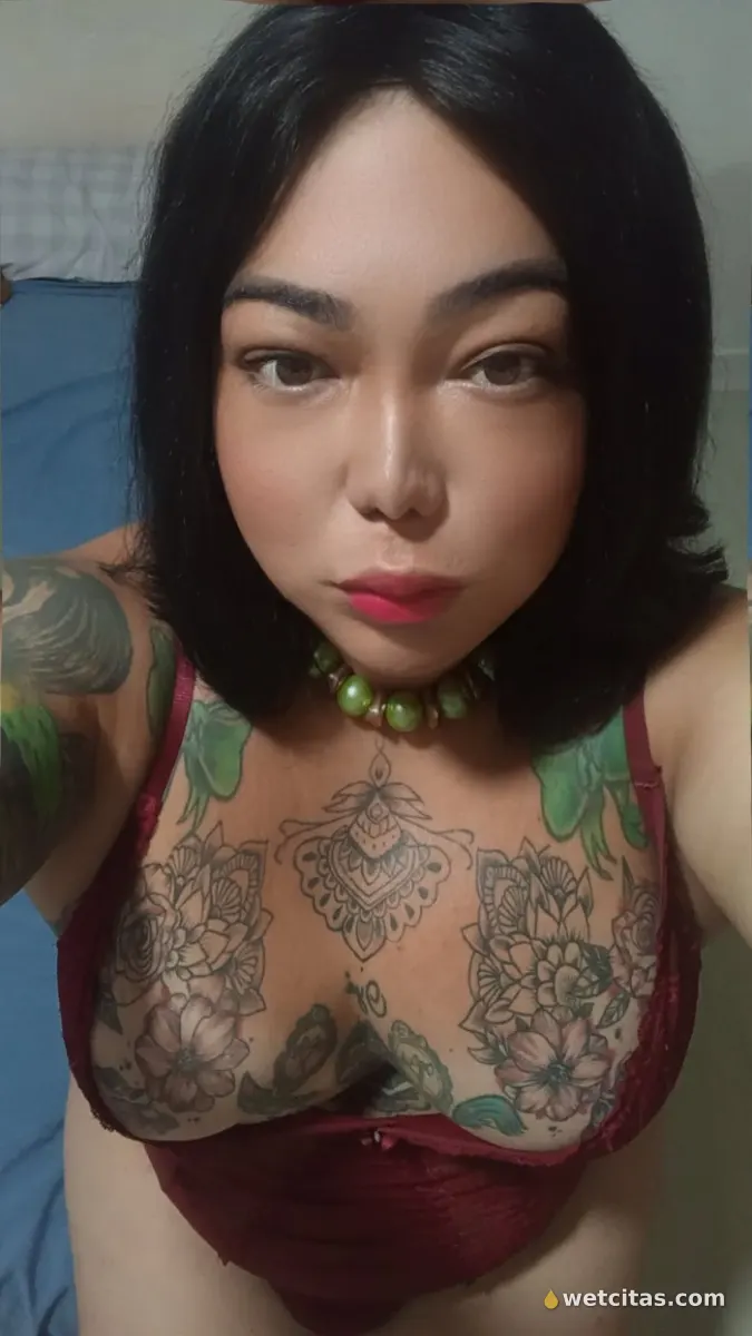 Aproveitem últimos dias en Cáceres, chica trans brasileña en cáceres – foto 5 de 8