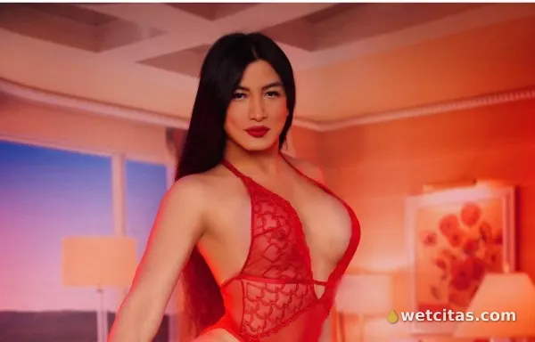 Bellisima trans, morbosa, viciosa y mucho más, chica trans argentina en tarragona – foto 7 de 8