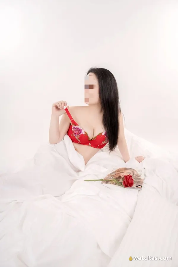 Bellisima asiatica, novedad en talavera, escort asiatica en talavera de la reina – foto 4 de 9