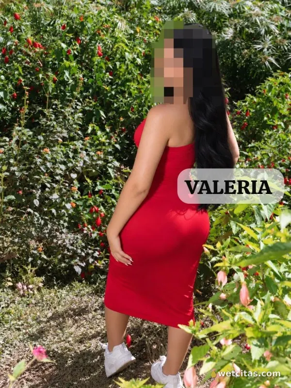 Novedades aquí hermosas fiesteras, escort latina en ciudadreal – foto 4 de 10